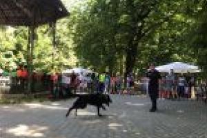 Opt din cei 12 căţei prezenţi la Târgul de adopţii canine şi-au găsit stăpâni