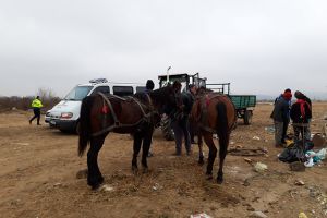 La un pas de moarte, după ce a căzut din căruţa cu fân!