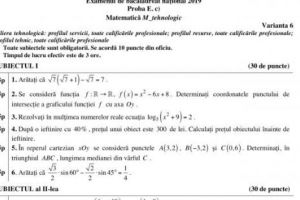 UPDATE. Bacalaureat 2019. Subiectele şi baremele la Matematică şi Istorie au fost publicate