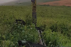 FOTO Distrugeri de amploare ale reţelelor electrice în judeţul Botoşani. 11 stâlpi au fost rupţi de furtună, iar un acoperiş a distrus un post de transformare