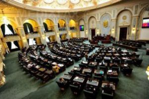 Senat: Proiectul privind acordarea de zile libere părinţilor în situaţia închiderii temporare a şcolilor, adoptat