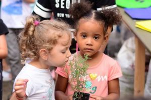 Tabăra VERDE pentru copilul urban