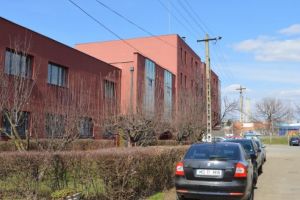 DSVSA Mureş are 3 posturi disponibile