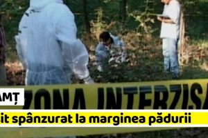 NEAMȚ: Găsit spânzurat la marginea pădurii