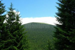 Primăria Vatra Dornei va fi partener oficial al competiţiei „Hit the Egg – Ouşoru ...