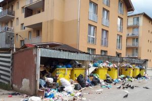 FLOREȘTI Horia Șulea şi colectarea selectivă a deşeurilor