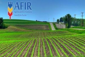 AFIR este prima instituţie publică care a obţinut certificarea internaţională pentru standardul ISO 37001:2016, aplicabilă sistemului de management anti-mită