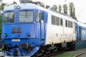 Trenul interRegio 122 Arad-Mangalia, s-a ,,împotmolit” pe drum din cauza a doi cai
