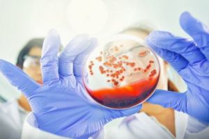 Alertă în lumea medicală. Leacul care mai rău îmbolnăveşte. Descoperirea care a dat peste cap totul