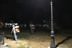 Continua dezinsectia in municipiul Constanta. Unde se actioneaza in continuare