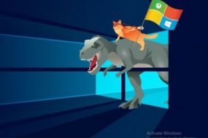 Secretul Microsoft a fost descoperit. Ce le-a ascuns compania utilizatorilor vreme de aproape un an