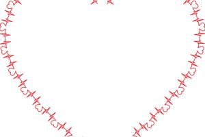 Programul Naţional de Boli Cardiovasculare – câteva precizări necesare