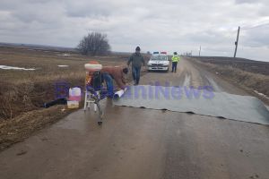 Fonduri de la Consiliul Judeţean pentru combaterea pestei porcine africane. Care sunt comunele care au primit bani!