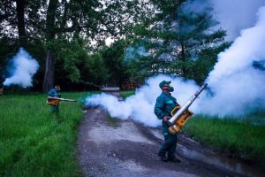 IMPORTANT: Dezinsecţie de ţânţari la Sibiu în două etape