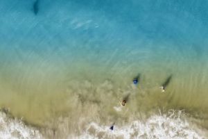 Imagini terifiante surprinse de un fotograf cu o dronă! Şi-a scos imediat copiii din apă