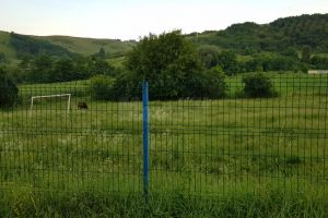 Tinerii din Pleşeşti se plâng că nu pot folosi terenul de sport pentru că Primăria a ...