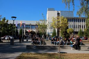 Școală de vară în limba engleză pentru elevi între 11 şi 15 ani, la Universitatea din Suceava