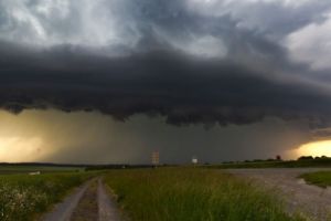 Cod galben de vânt şi ploi