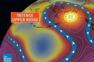 
Canicula topeşte Alaska. Temperaturi de peste 30 de grade, ca în Texas. Cercul polar, pe tigaia încinsă