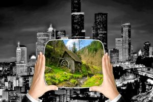 Poliţiştii harghiteni, prieteni ai naturii înconjurătoare, iniţiatorii unor ample acţiuni în domeniul protecţiei mediului