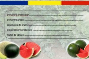 Din aceasta saptamana, producatorii de pepeni braileni vor trebui sa iti eticheteze marfa de la tarabe