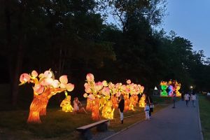 Recomandare pentru sibieni – Plimbare nocturnă în Muzeul în Aer Liber