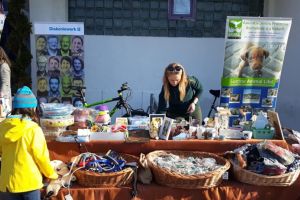 FOTO Bazar de fapte bune la Piaţa Volantă Transilvania