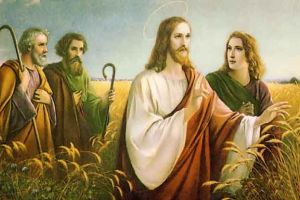 Duminica a XIV-a de peste an