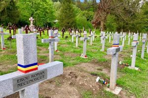 Situaţia Cimitirului de la Valea Uzului, adusă în atenţia Adunării Parlamentare a Consiliului Europei