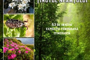 Expoziţia temporară ″Rarităţi floristice şi faunistice din ţinutul Neamţului″