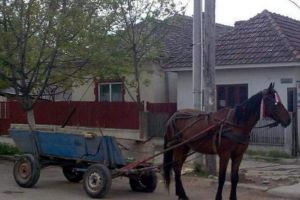 Un bărbat din Botoşani a ajuns în stare gravă la spital, după ce a căzut din căruţă