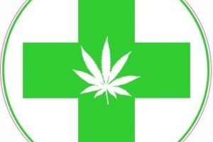 Canabisului medical ajunge şi în România. Se va înfiinţa Agenţia Naţională privind utilizarea plantelor de canabis