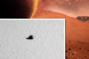 Dovezi incredibile de la NASA! O fotografie de pe Marte  cu o pasăre în zbor a pus pe gânduri cercetătorii. Foto în articol