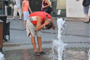 Clima, vremea şi organismul