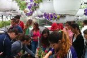 ADMITERE LA FACULTATEA DE HORTICULTURĂ, UNIVERSITATEA DIN CRAIOVA