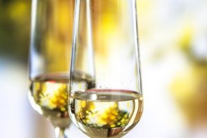 Degustare de Prosecco pe terasa Petry