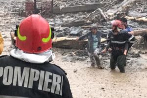 Au distrus pădurile şi FENOMENUL Rucăr e doar începutul!