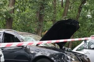 FOTO: Copac căzut peste o maşină, la Platoul Corneşti!