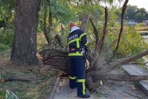 Interventie de urgenta la Tulcea. O femeie a fost ranita de o creanga cazuta din copac pe banca pe care se afla (galerie foto+video)