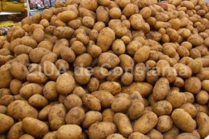 Fortele Navale Romane au cumparat cartofi de la doua firme. Care sunt acestea (document)