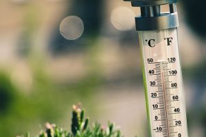 Sfaturi pe timp de caniculă. Cum te aperi de căldura excesivă