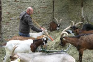 Regimul zilierilor, schimbat: Au fost aprobate încă 9 domenii în care muncitorii pot lucra cu ziua