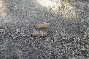 Descoperire SURPRINZĂTOARE la Vinerea, în timpul unui festival: Două PROIECTILE găsite de o persoană, în pădurea din apropierea