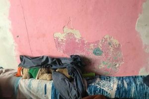 Destin TRAGIC! Tatăl a murit într-un teribil accident în Vladimirescu, iar cei 10 copii ai săi au nevoie de AJUTOR!