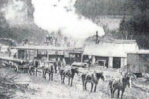 Feresteul de la Falcău