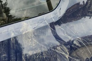 Urşii seamănă panică şi devin tot mai agresivi în diferite zone ale judeţului Suceava