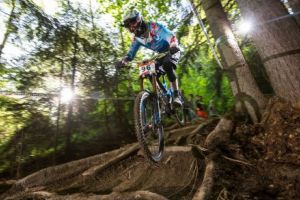 Primăria Braşov a lansat licitaţia pentru proiectul traseelor de downhill din Postăvarul