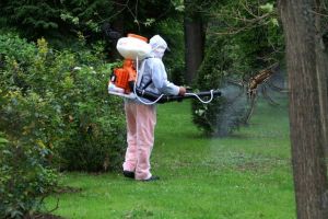 8-9 iulie: Lucrări de DEZINSECȚIE şi tratamente la sol pentru combaterea ţânţarilor, în parcurile de joacă pentru copii, în Parcul Municipal Aiud şi în cartierele de locuinţe. Sfaturi pentru cetăţeni