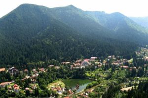 Șef serviciu – post vacant la Agenţia Judeţeană pentru Protecţia Mediului Harghita