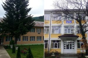 Rezultate BAC 2019. La două licee din judeţul Alba nici un absolvent nu a reuşit să obţină nota de trecere